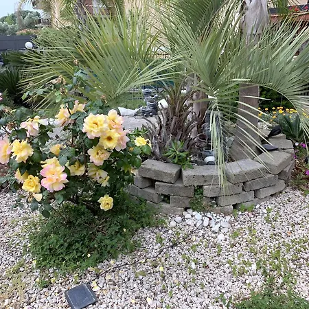 Il Giardino Di Adriana Bed & Breakfast