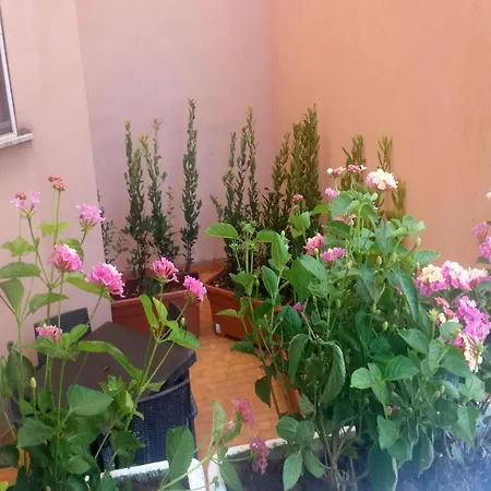 Il Giardino Di Adriana Bed & Breakfast Terracina